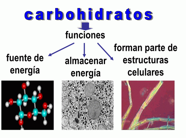 Estructura Química De Los Carbohidratos Cursos Online Web 5876