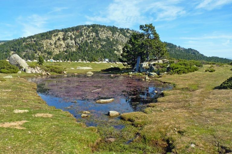 Características de los ecosistemas