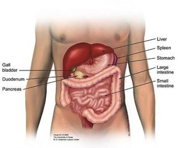 Funciones del páncreas