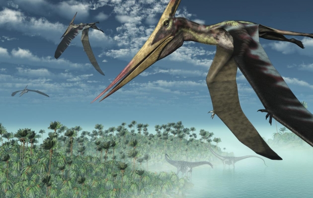 Clases de dinosaurios y definicion de cada tipo Clases de dinosaurios y definicion de cada tipo