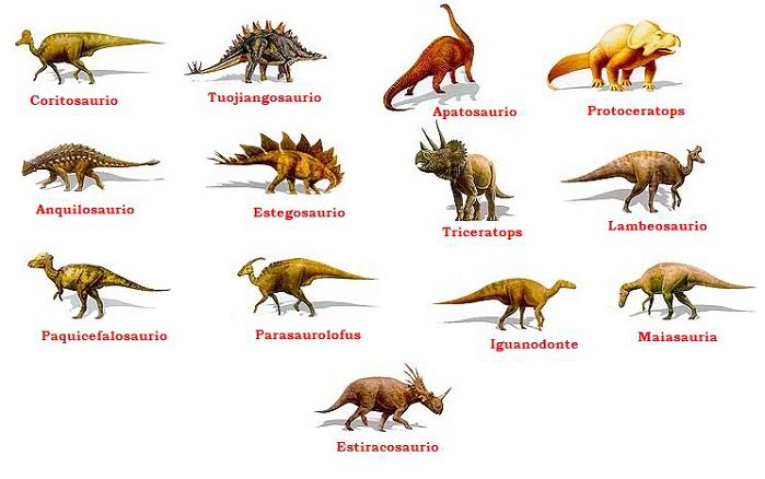 Clases de dinosaurios y definicion de cada tipo