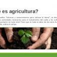 Tipos de agricultura (2)
