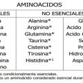 Tipos de aminoácidos