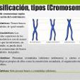 tipo cromosoma